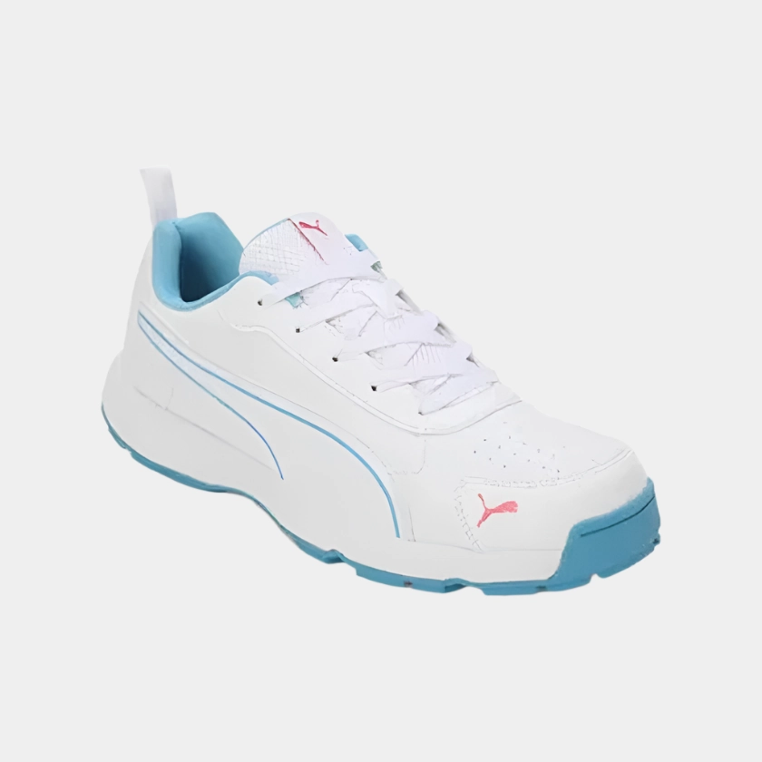 Puma Classic Cat Men's Cricket Shoes -White/Blue Asics Lightweight Trail Running Shoes