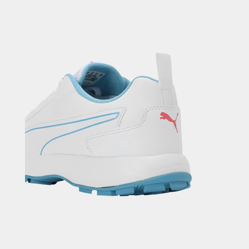 Asics New Shoes Puma Classic Cat Men's Cricket Shoes -White/Blue