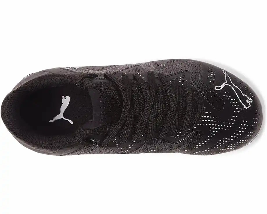 Lamelo Puma Shoe Puma Future Play FG/AG Men/Women Soccer Cleats